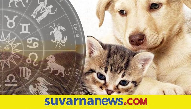 Know Which Pet To Adopt as per your Zodiac Sign skr