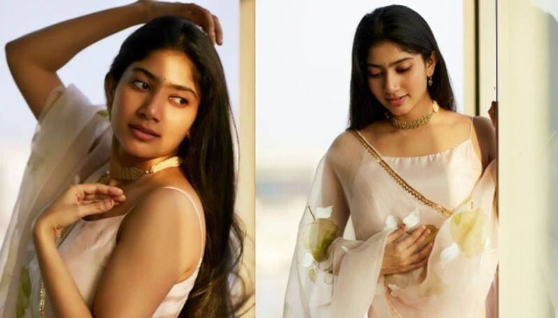 Sai Pallavi Bollywood Entry Update