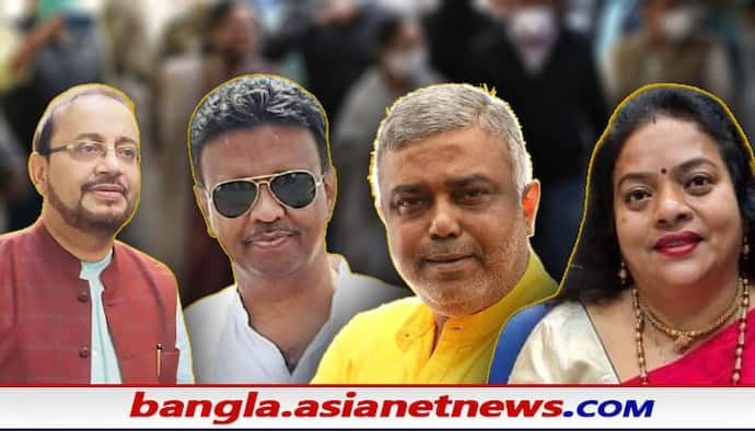 KMC Election Result: শহর জুড়ে তৃণমূলের হেভিওয়েটদের জয়জয়কার, বিধায়ক থেকে সাংসদ রেকর্ড জয় সকলেরই