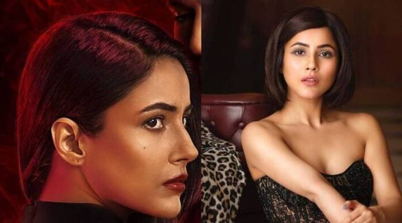 Is Shehnaaz Gill on Lucifer new poster alongside TOM ELLIS Find out drb