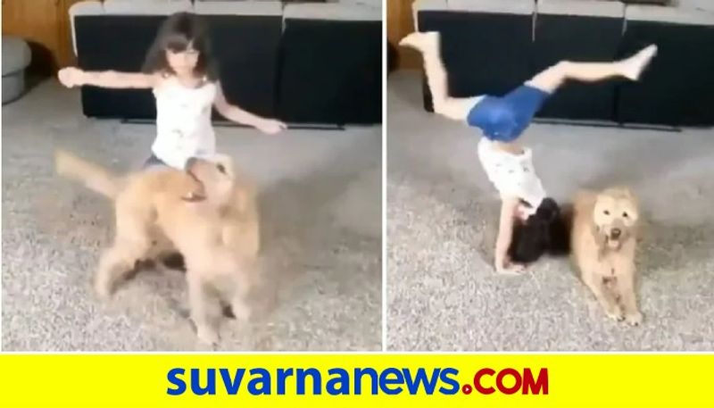 watch viral video Little girl and her pet dog perform stunts together akb