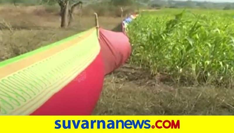 Bidar Farmers Adapt Innovative Technique To Save Crops hls