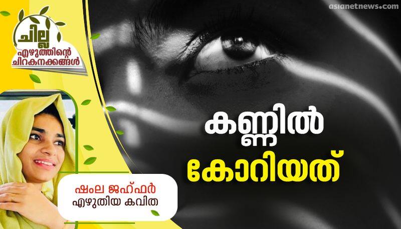 chilla malayalam poem by shamla Jahfar