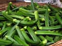 Okra Water: బెండకాయ నీళ్లు రోజూ తాగితే ఏమౌతుంది? కలిగే లాభాలేంటి? నష్టాలేంటి?