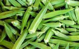 Health Tips: మీకు ఈ అనారోగ్య సమస్యలు ఉన్నాయా.. అస్సలు బెండకాయ జోలికి పోకండి!