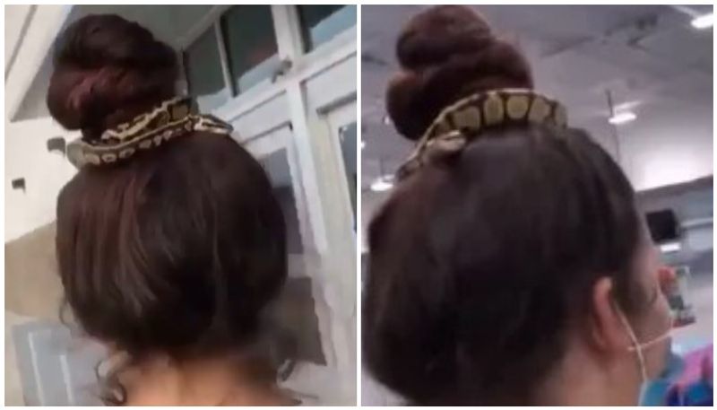 Woman Uses Snake Hairband Watch this viral video