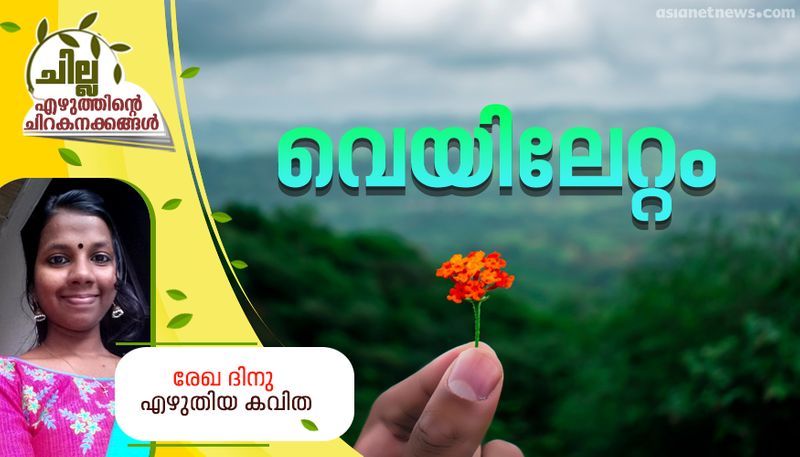 chilla malayalam poem by Rekha Dhinu