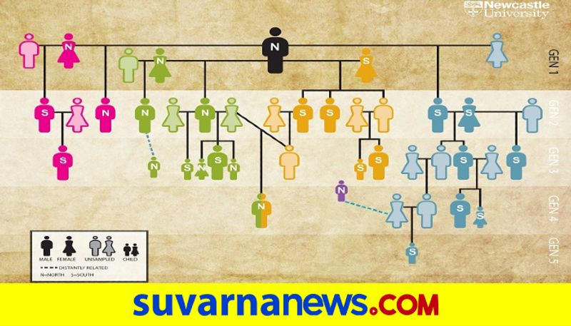 Significance of worlds oldest family tree 5700 year old UK tomb mnj