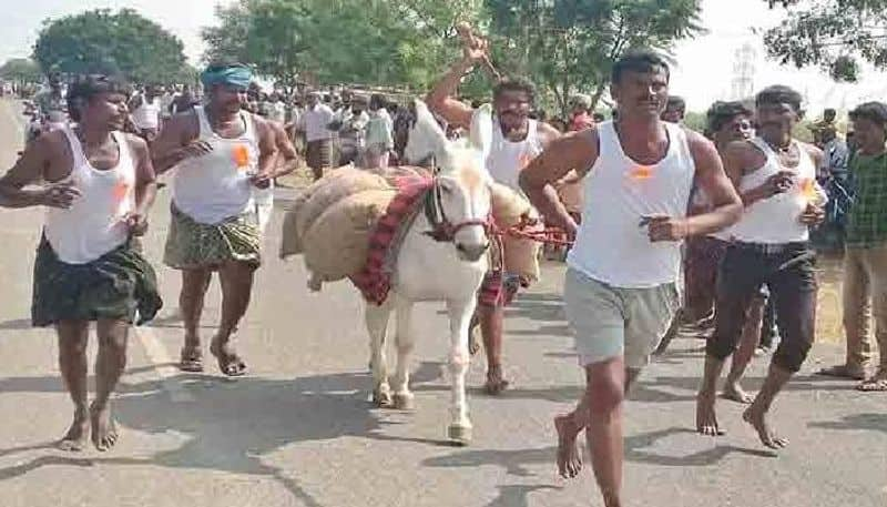 Donkey race in kurnool andhra pradesh