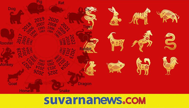 What is the Chinese Tiger year 2022  horoscope for you?