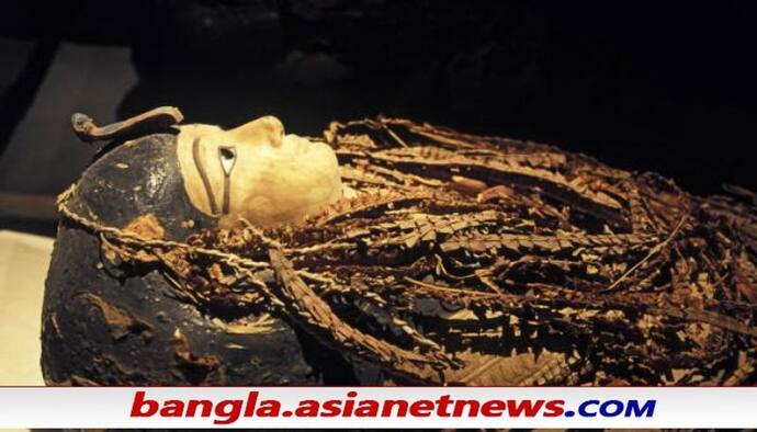 Egyptian Mummy Unwrapped: খোলা হল ৩৫০০ বছরের পুরোনো মমি, ভিতরে যা আছে দেখে অবাক মিশরীয় গবেষকরা