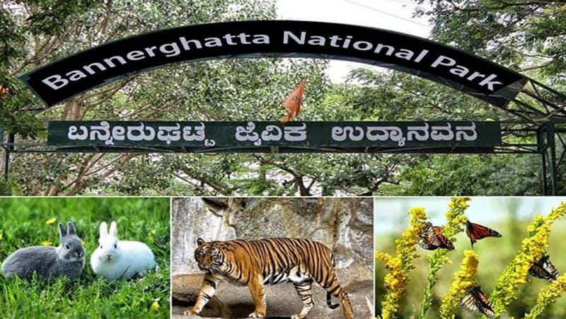 Bannerghatta National Park Not Open to Public on Feb 9th grg 