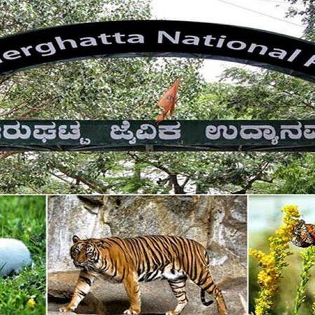 Bengaluru: Bannerghatta Biological Park to hike ticket prices by 20% from August 1