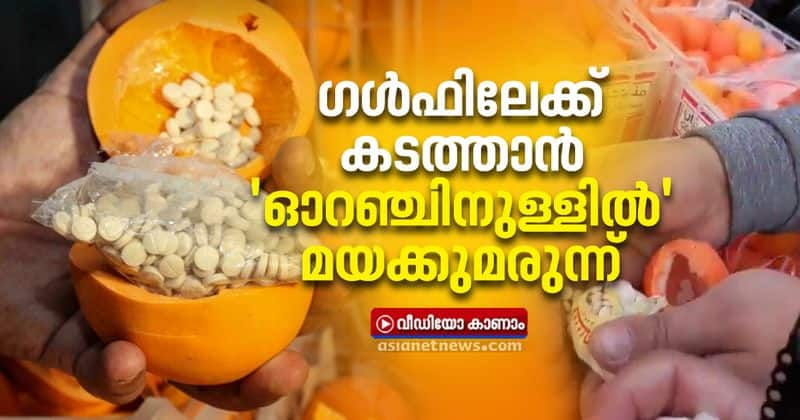 9 million captagon seized in shipment of oranges