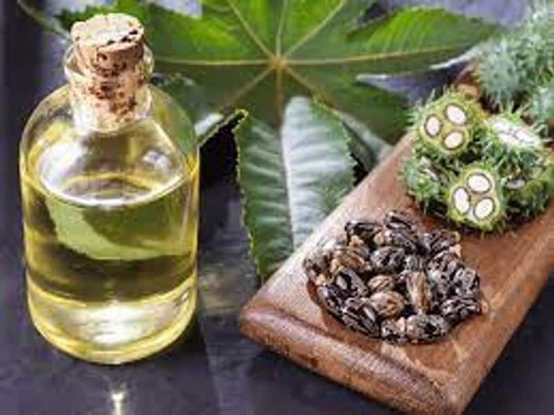 amazing health benefits of castor oil vilakkennai in tamil mks