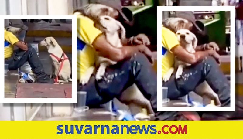 heartwarming video Dog hugs homeless man akb