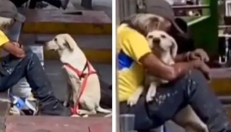 dog hugging homeless man