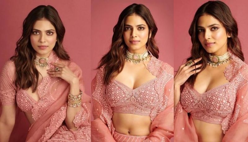 malavika mohanan in pink lehenga photos viral