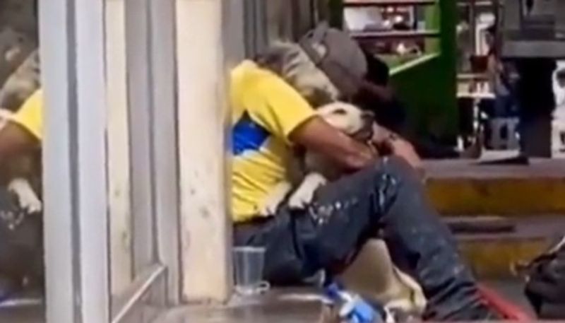 video in which street dog show love to homeless man