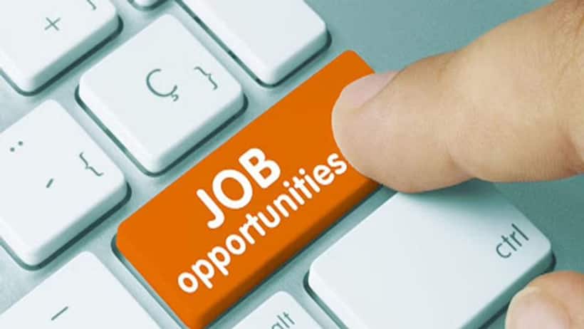 CSIR CRRI Recruitment 2023: Apply for 11 positions at  crridom.gov.in; know pay scale, selection process