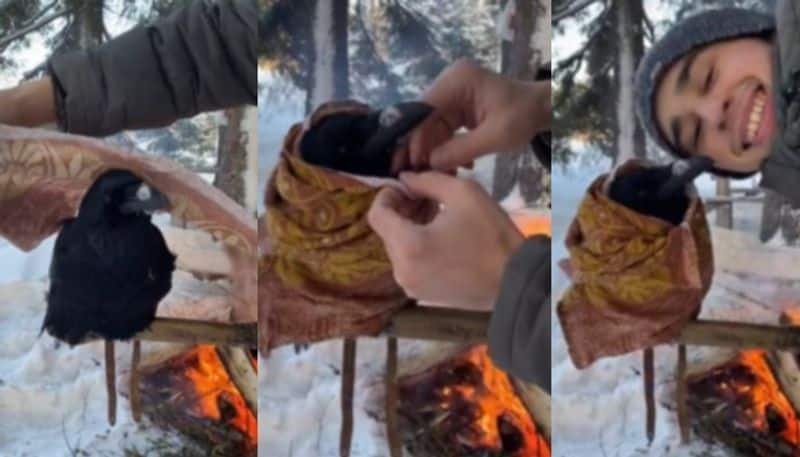 raven being covered up in a blanket by the fire