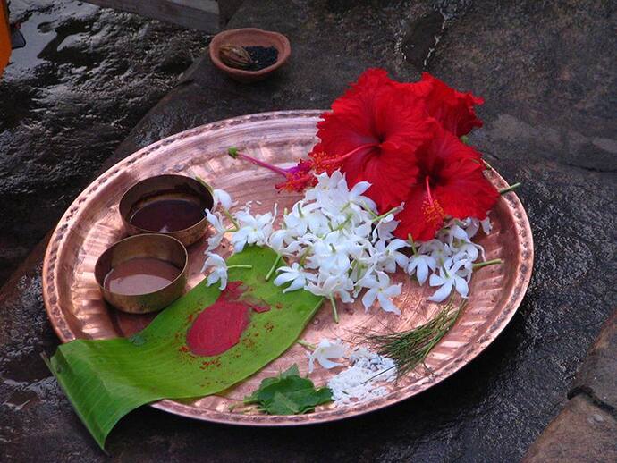 শাস্ত্রে শতিলা একাদশীর গুরুত্ব রয়েছে বিস্তর, জেনে নিন কবে পালিত হবে শতিলা একাদশী