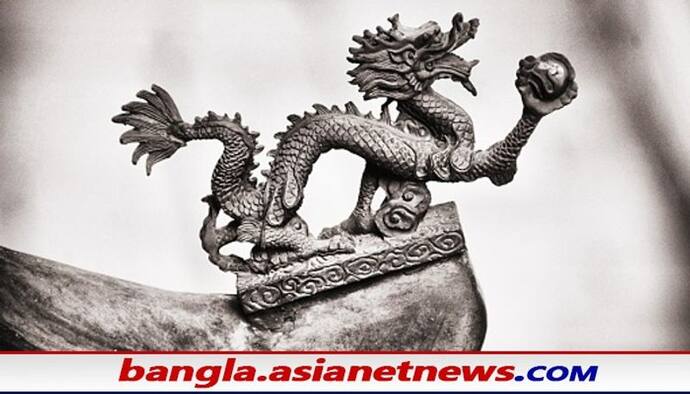 Vastu Tips for Dragon Statue: পারিবারিক শান্তি বজায় রাখতে ঘরে রাখুন ড্রাগন মূর্তি, জেনে নিন ব্স্তু মত