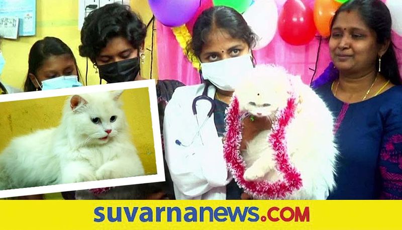 TamilNadu family organized baby shower for their pet cats akb