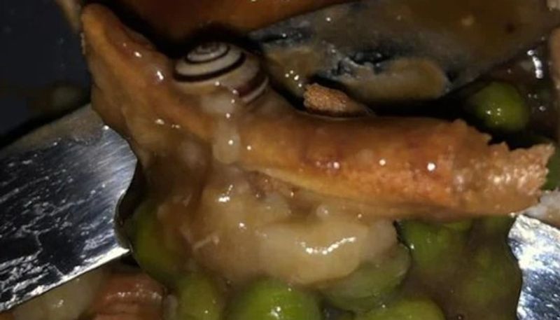 woman complaint that she got snail from her online food order