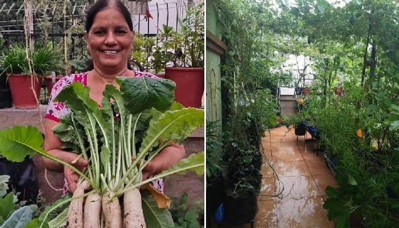 Retd Professor says gardening is a therapy