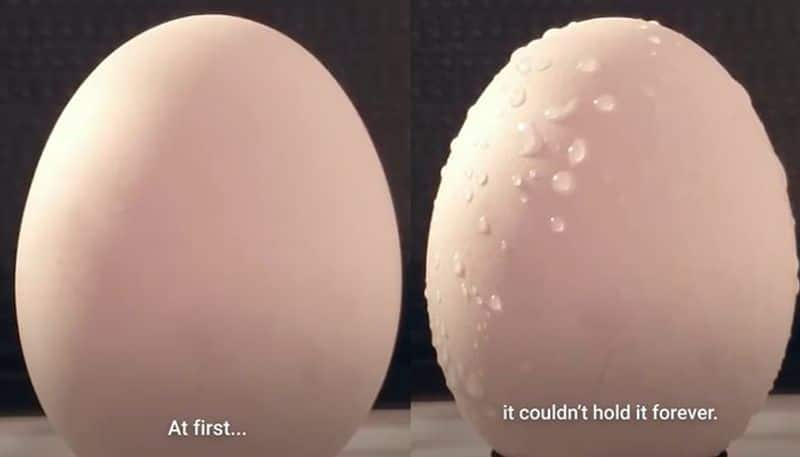 experiment in which egg exploded inside microwave