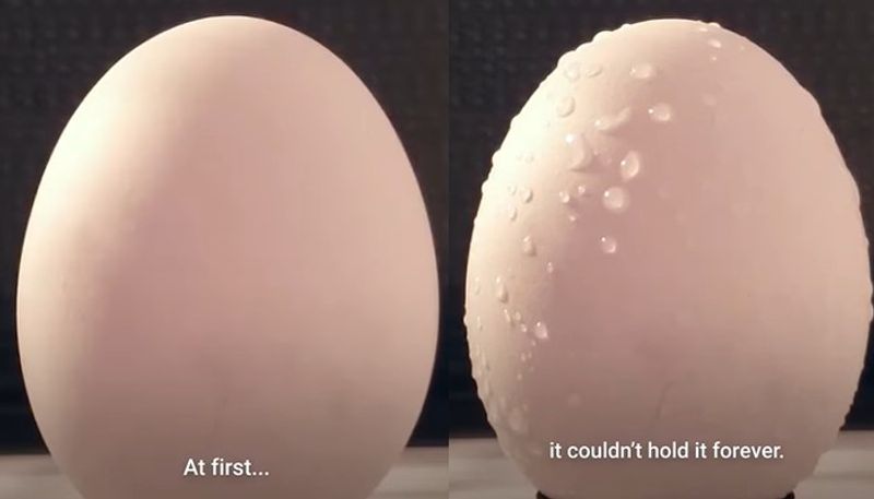 experiment in which egg exploded inside microwave