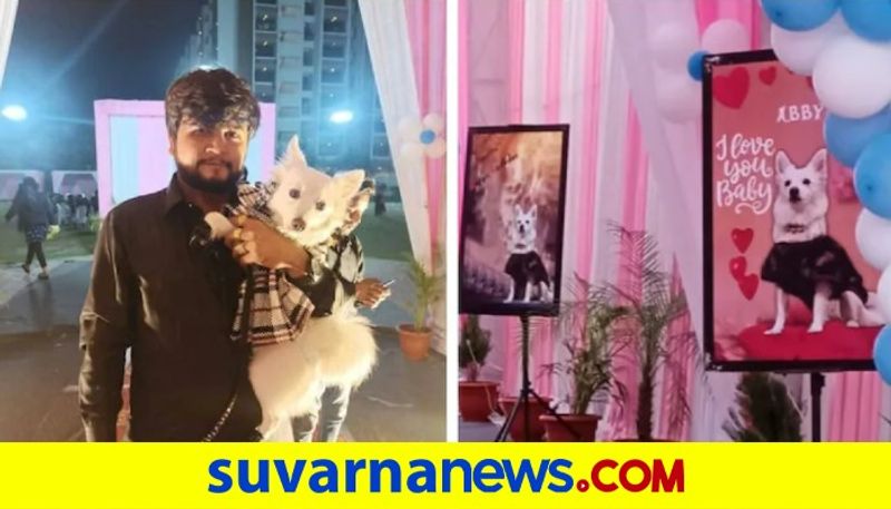 Ahmedabad Dog gets a lavish party worth Rs 7 lakh for its birthday akb