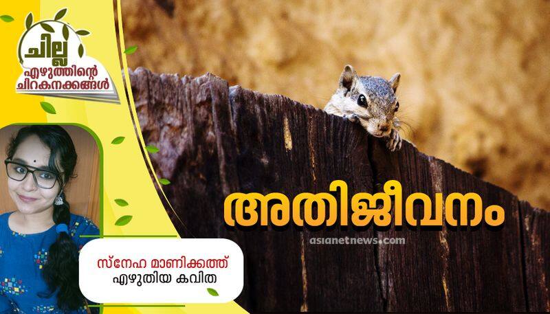 chilla malayalam poem by sneha manikkath