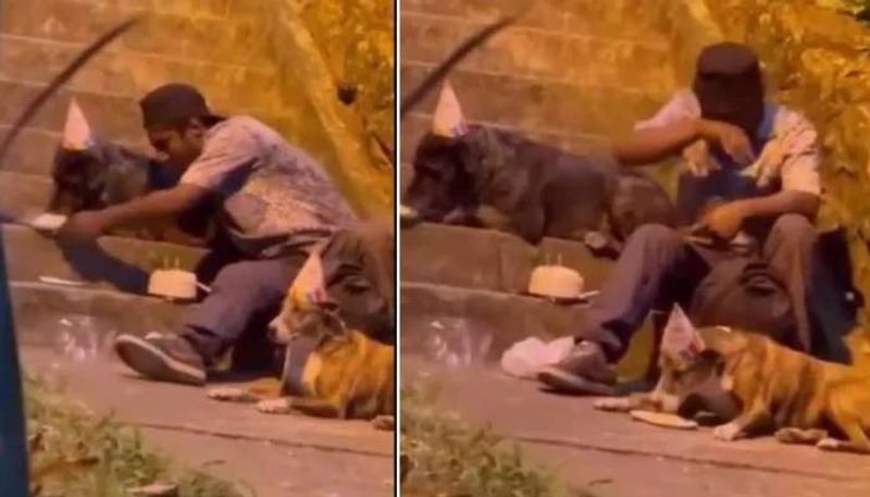 Homeless man celebrates dogs birthday watch viral video