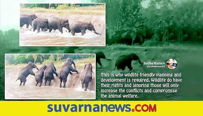 Elephant gets trapped in Karnataka canal Watch viral video akb