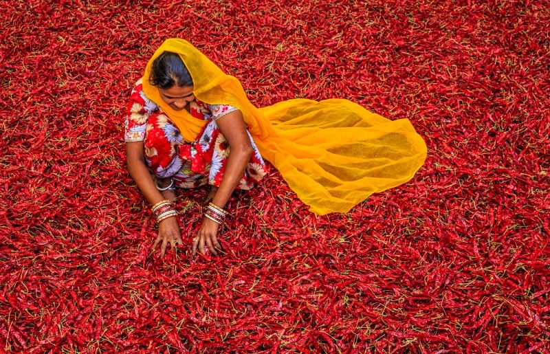 This Rajasthan girl opens a library for wemen