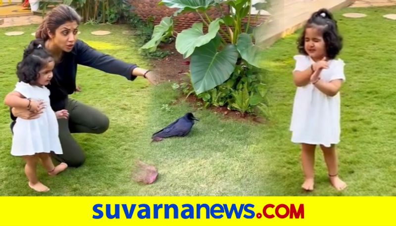 Shilpa Shettys daughter Samisha chants Gayatri mantra as she prays for injured bird dpl