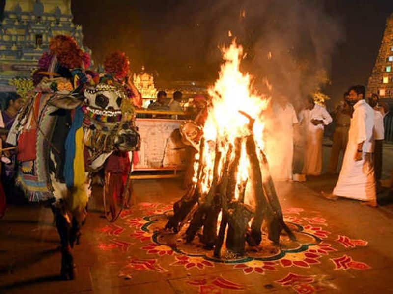 Bhogi Festival 2024 : what to do and what not to do on the day of Bhogi rsl