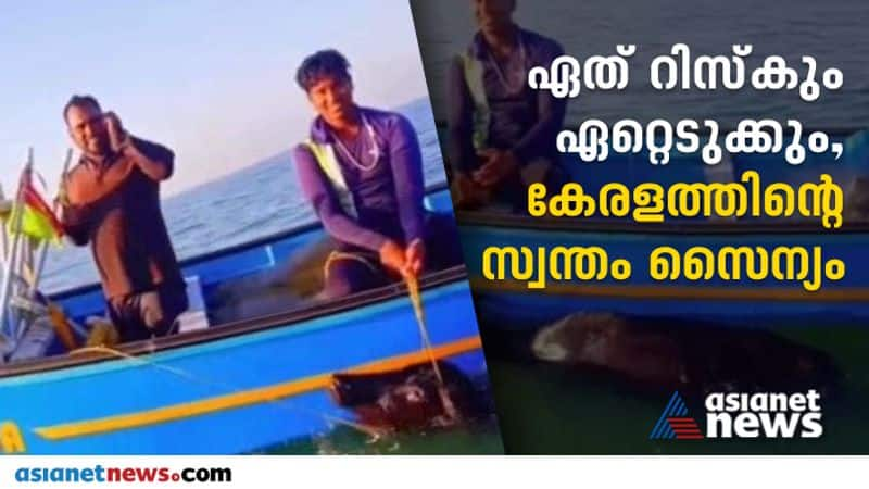 calicut fishermen rescued buffalo stuck at sea