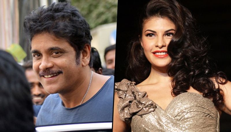 Jacqueline Fernandez loses film with Nagarjuna due to the Sukesh Chandrasekhar case? drb