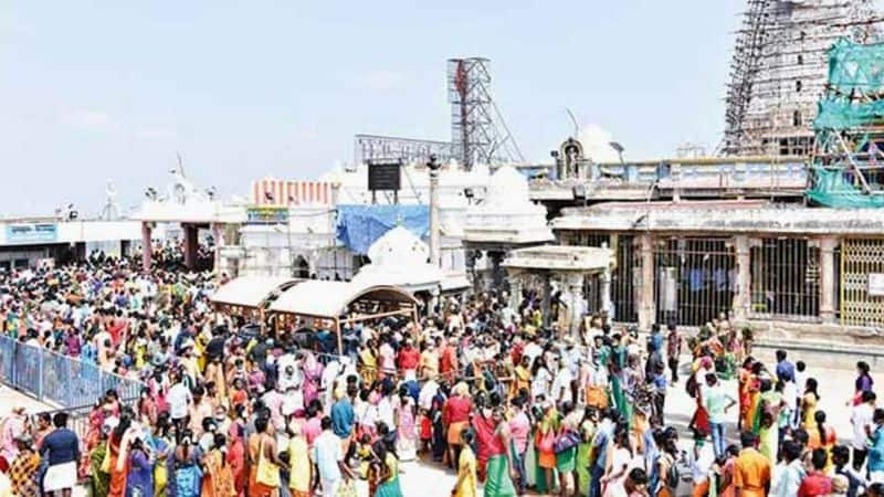 thaipoosam festival in Palani Murugan Temple tvk