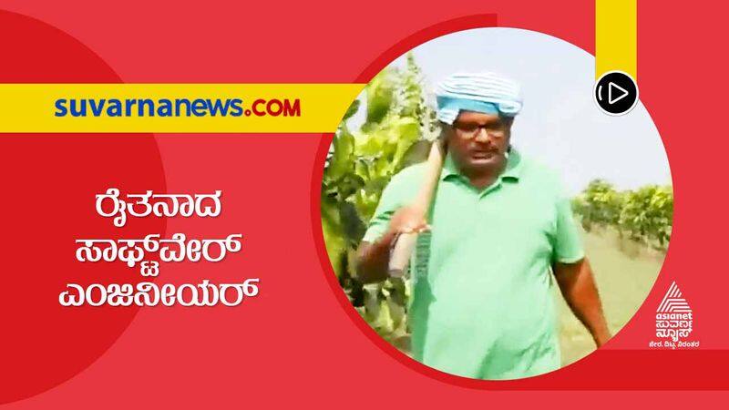 Bengaluru software engineer turns into a farmer in Bagalakote on weekends hls