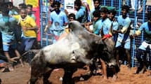 Jallikattu 2024 : Famous places for jallikkattu in tamilnadu Rya