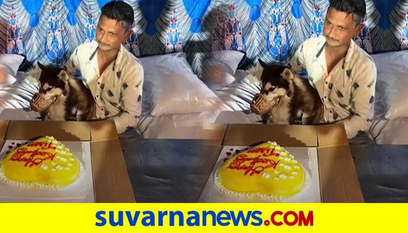 Man celebrates pet birthday by serving biriyani to 150 people in Shivamogga dpl