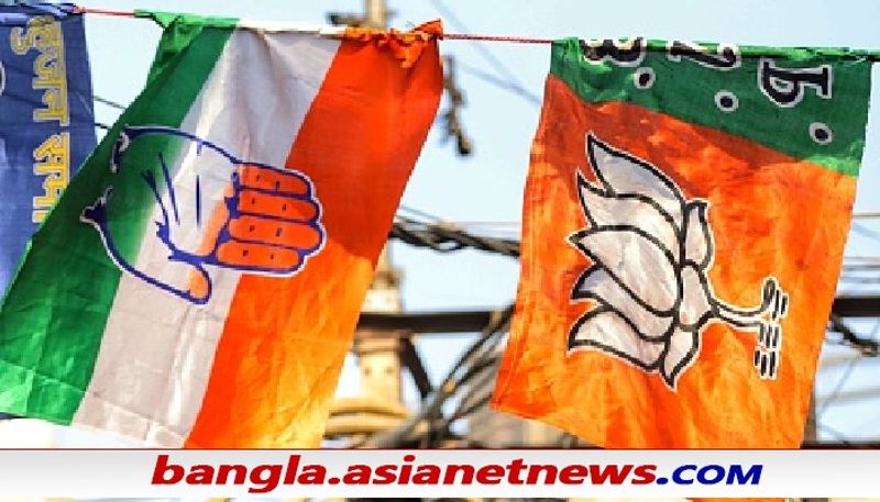 Congress BJP Flags