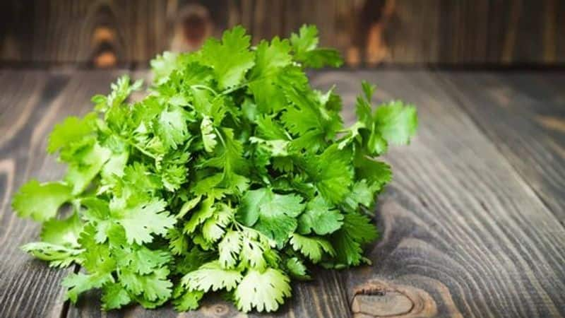 what are the benefits of eating green coriander rsl