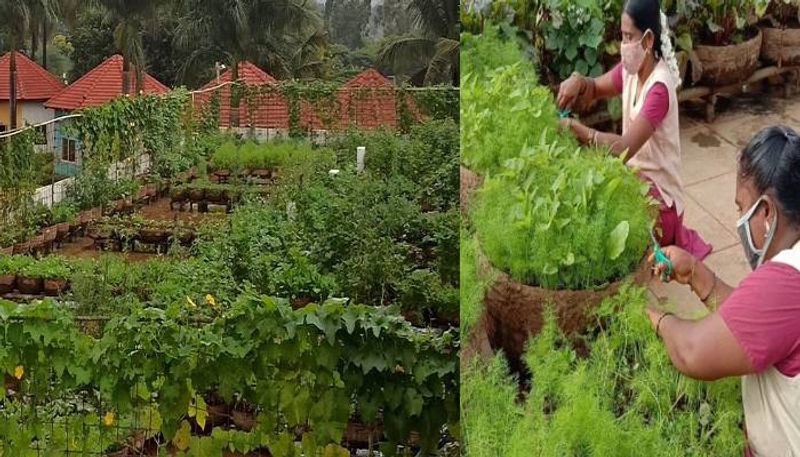 organic farm in Bengaluru school