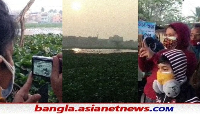 পারদ নামতেই সাঁতরাগাছি ঝিলে রেকর্ড পরিযায়ী পাখি, ক্যামেরায় বিভিন্ন পোজে হিমালায়ান থেকে হেরন