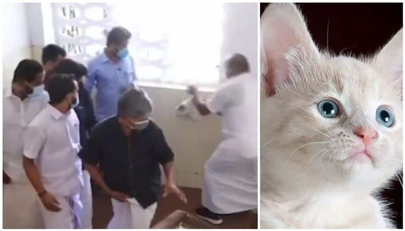 Cat bite Youth Congress leader while protest